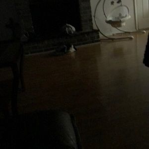 Meet your Posher, Bryana